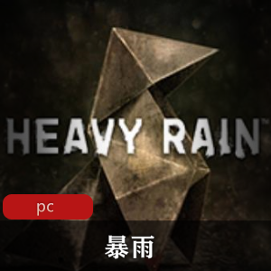 （暴雨）中文破解版