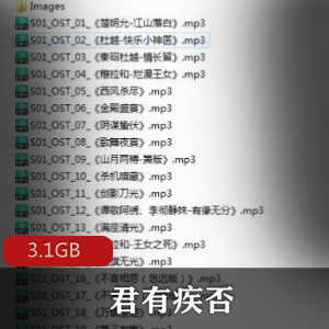 （君有疾否）有声小说