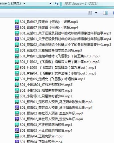 （君有疾否）有声小说