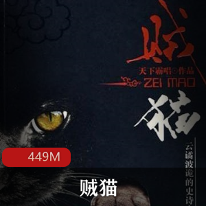 （贼猫）有声小说
