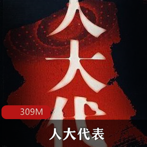 官场小说（人大代表）有声小说