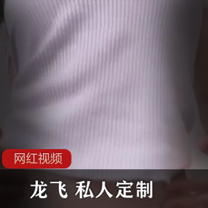 《龙飞》+私人定制作品两部