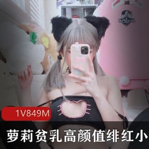 绯红小猫妹子高颜值合集