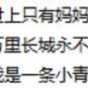 个人精选电视剧主题曲磁带版