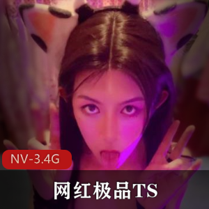 网红优质TS十一月精选1（含十月精选）+[NV3.4G]