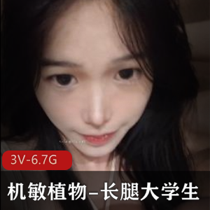 校花女神机敏：长腿大学生黑丝Q趣装，5小时视频震撼上线！