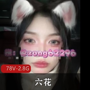 优质Y娃六花最新自拍合集78V2.8G，团建情节水印，超火资源！