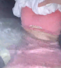 原创百度盘温泉解压合集1V524M，和小狗房东无视路人泡温泉