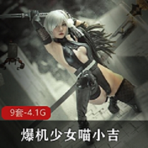 爆机少女合集奈奈兔最新资源9套4.1G，包含永恒魅魔与粉红护士