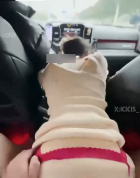 转载搬运百度盘反差小狗幼师Icicis最新合集58V7.15G，视图精彩