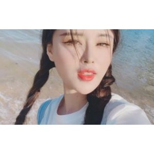 一只萌宠优质佳作抖音版82系列695兆珍藏