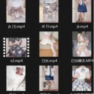 酒酒私房作品全网合集55部14.5G展示珍藏