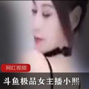 小熙舞姿合集斗鱼主播88部65G御姐范