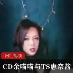 INS探秘余喵喵惠奈酱跨次元合作83部38G绝密档案